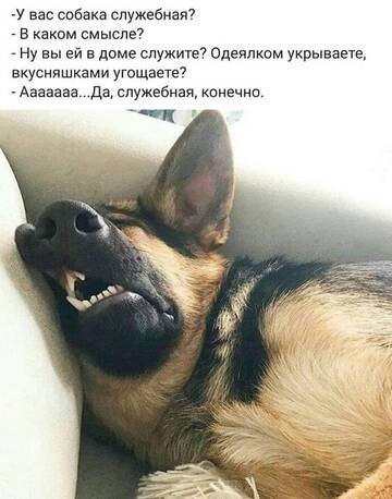 https://upforme.ru/uploads/001b/92/d8/834/t985815.jpg