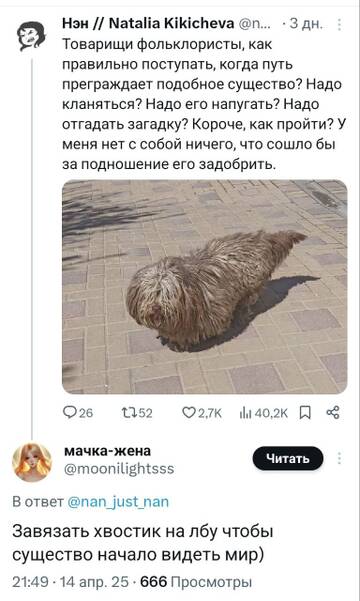 https://upforme.ru/uploads/001b/92/d8/834/t988556.jpg