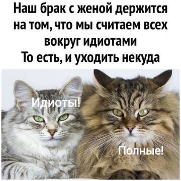 https://upforme.ru/uploads/001b/92/d8/834/t992686.jpg