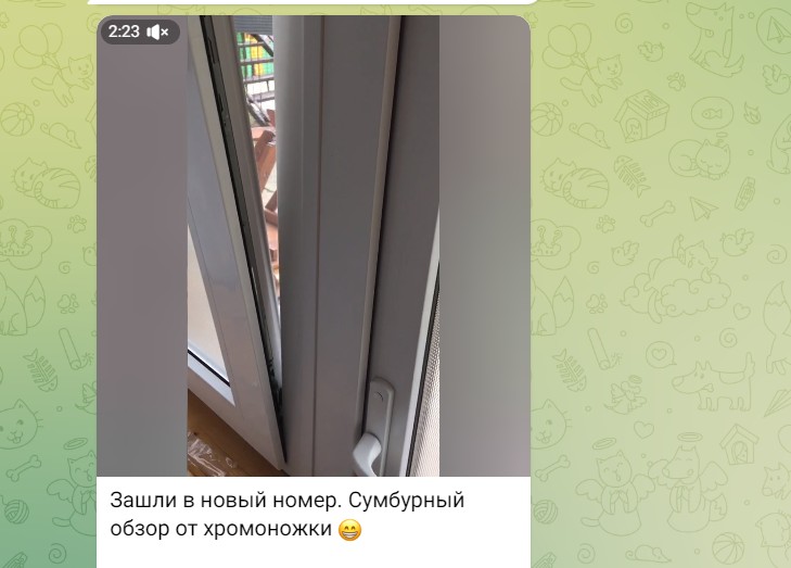 https://upforme.ru/uploads/001b/92/d8/837/719312.jpg