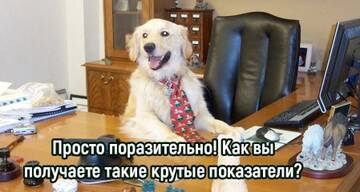 https://upforme.ru/uploads/001b/92/d8/86/t300256.jpg