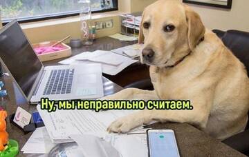 https://upforme.ru/uploads/001b/92/d8/86/t959936.jpg