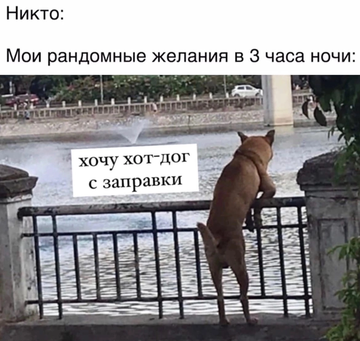 https://upforme.ru/uploads/001b/92/d8/912/t994821.png