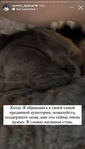 https://upforme.ru/uploads/001b/92/d8/947/t234984.jpg