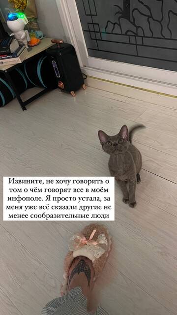 https://upforme.ru/uploads/001b/92/d8/947/t438273.jpg