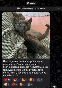 https://upforme.ru/uploads/001b/92/d8/947/t549838.jpg