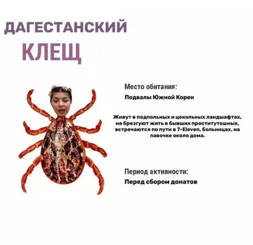 https://upforme.ru/uploads/001b/92/d8/947/t557488.webp