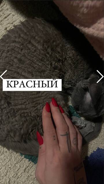 https://upforme.ru/uploads/001b/92/d8/962/t85493.jpg