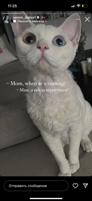https://upforme.ru/uploads/001b/92/d8/964/t453857.png