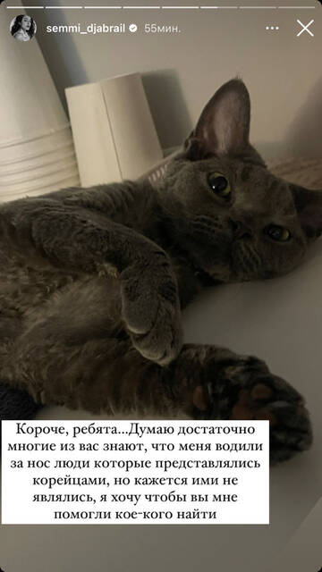 https://upforme.ru/uploads/001b/92/d8/964/t784310.jpg
