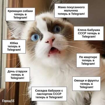 https://upforme.ru/uploads/001b/92/d8/965/t92911.jpg