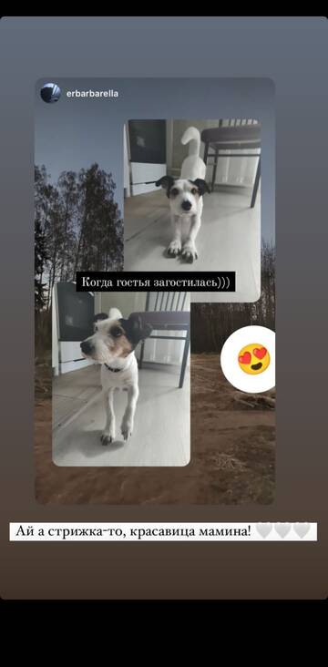 https://upforme.ru/uploads/001b/92/d8/983/t279208.jpg
