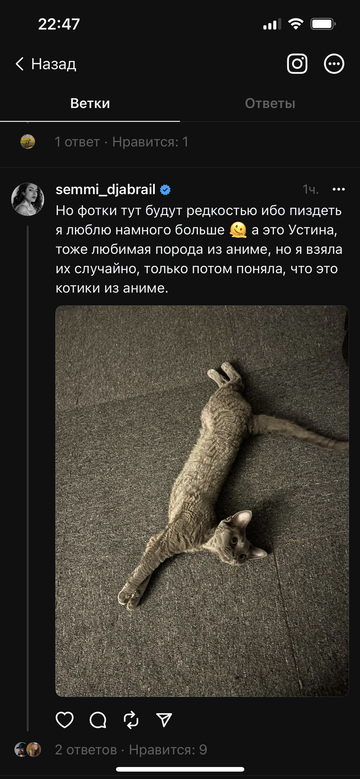 https://upforme.ru/uploads/001b/92/d8/992/t605824.png