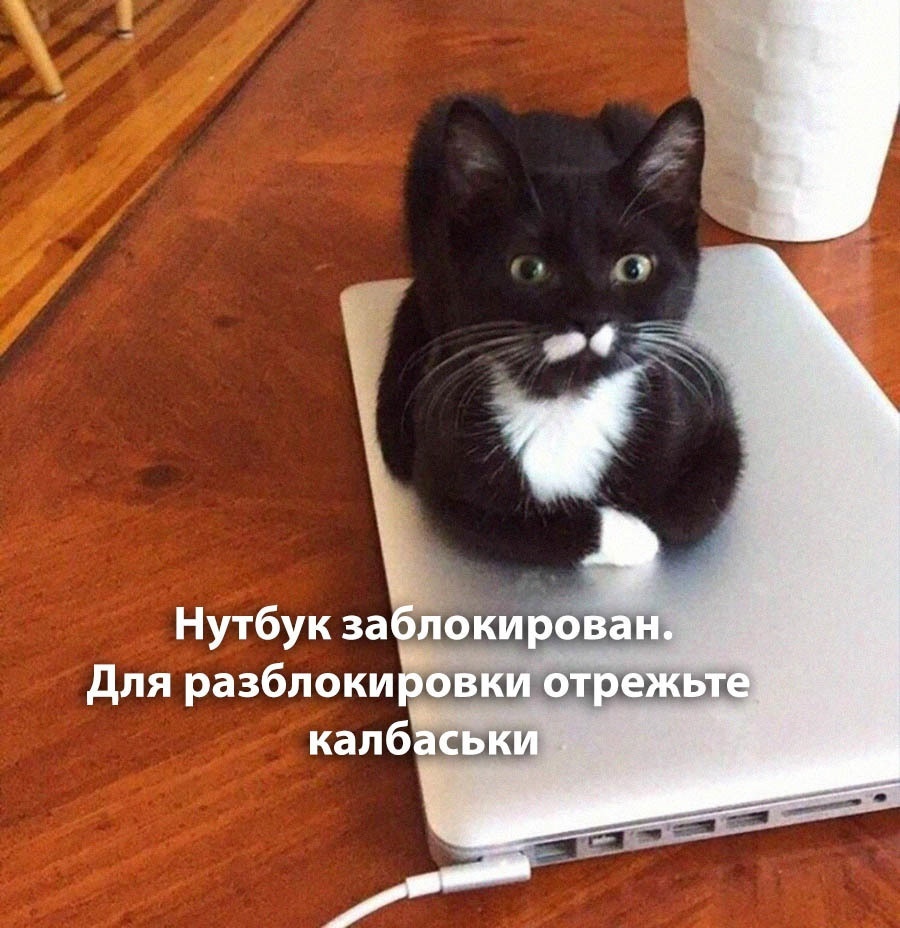 https://upforme.ru/uploads/001b/93/34/30/813282.jpg