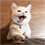 https://upforme.ru/uploads/001b/93/34/6/t938494.gif