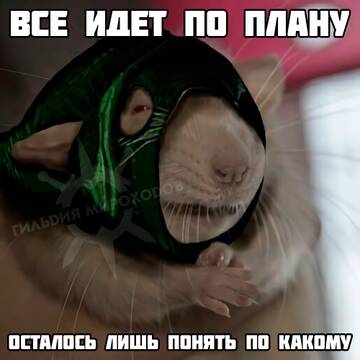 https://upforme.ru/uploads/001b/93/34/80/t297157.jpg