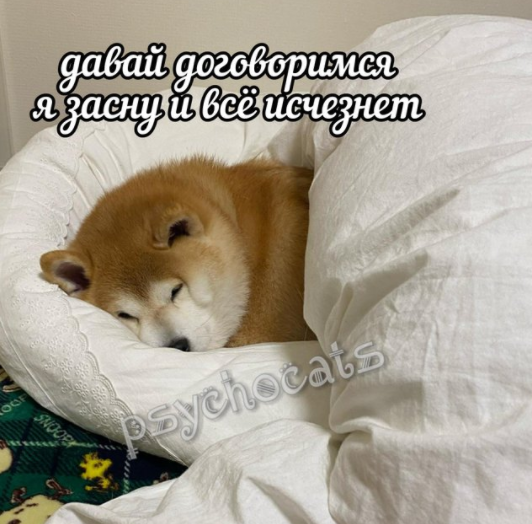https://upforme.ru/uploads/001b/94/82/25/t379459.png