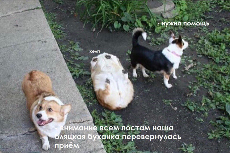 https://upforme.ru/uploads/001b/94/82/82/440244.jpg