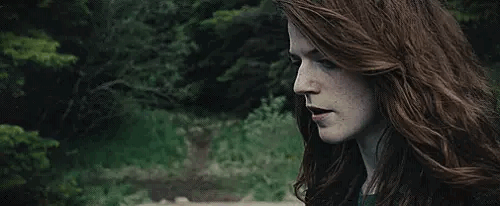 https://upforme.ru/uploads/001b/95/20/26/131293.gif