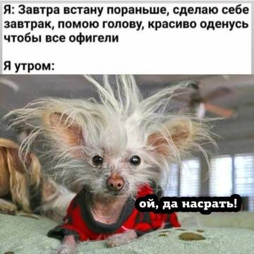 https://upforme.ru/uploads/001b/95/85/12/t584947.jpg