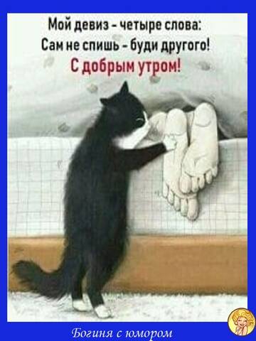 https://upforme.ru/uploads/001b/95/85/160/t56386.jpg