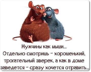 https://upforme.ru/uploads/001b/95/85/160/t568356.jpg