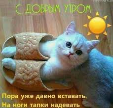 https://upforme.ru/uploads/001b/95/85/160/t788453.jpg