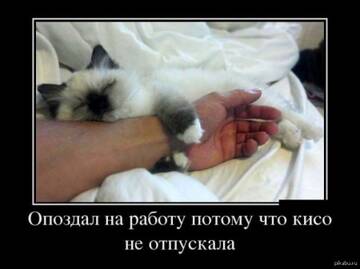 https://upforme.ru/uploads/001b/95/85/160/t950609.jpg