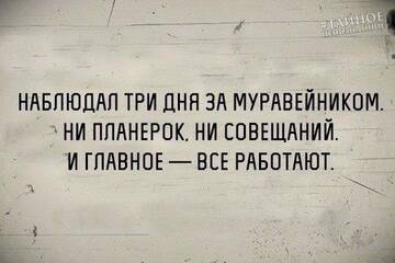 https://upforme.ru/uploads/001b/95/85/160/t950955.jpg
