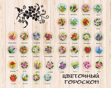 https://upforme.ru/uploads/001b/95/85/182/t537939.jpg