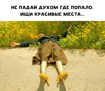 https://upforme.ru/uploads/001b/95/85/25/t158666.jpg