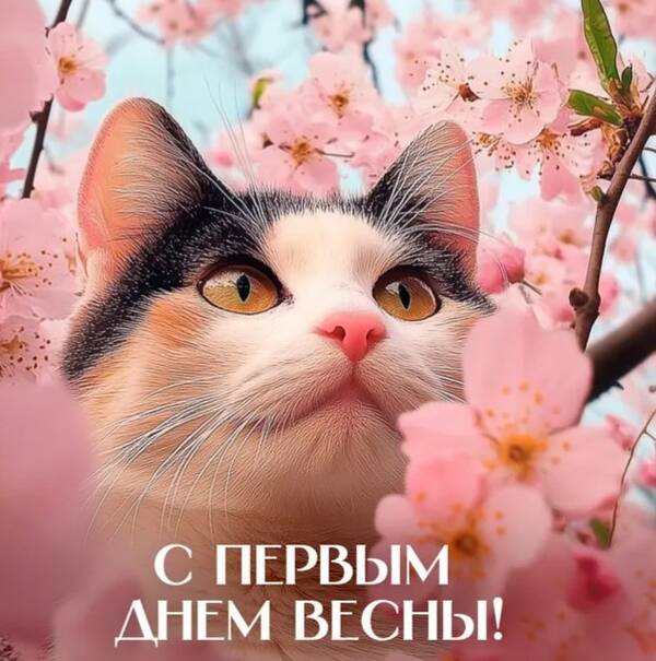 https://upforme.ru/uploads/001b/95/85/3/t805766.jpg
