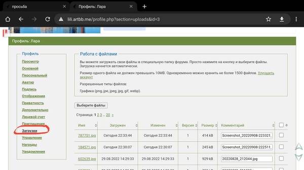 https://upforme.ru/uploads/001b/95/85/3/t892625.jpg
