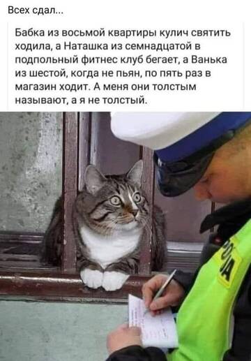 https://upforme.ru/uploads/001b/95/85/39/t232055.jpg