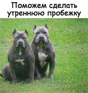 https://upforme.ru/uploads/001b/95/85/39/t260594.jpg