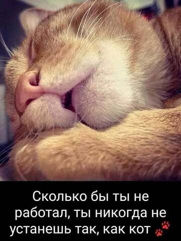 https://upforme.ru/uploads/001b/95/85/39/t522879.jpg