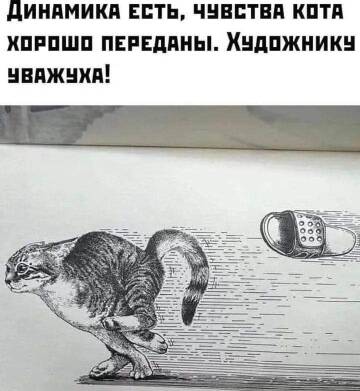 https://upforme.ru/uploads/001b/95/85/39/t779571.jpg