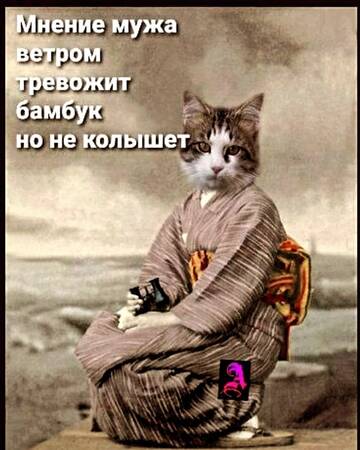 https://upforme.ru/uploads/001b/95/85/39/t783708.jpg