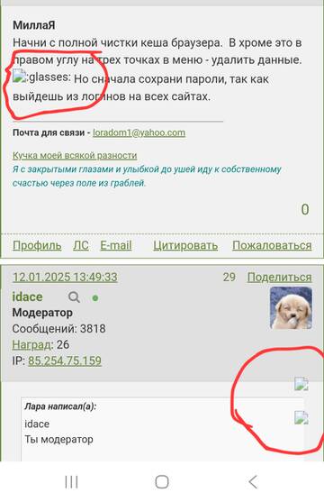https://upforme.ru/uploads/001b/95/85/41/t579431.jpg