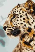 https://upforme.ru/uploads/001b/95/85/44/t442777.webp