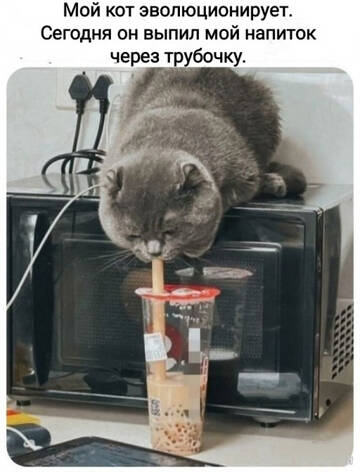 https://upforme.ru/uploads/001b/95/85/5/t327780.jpg