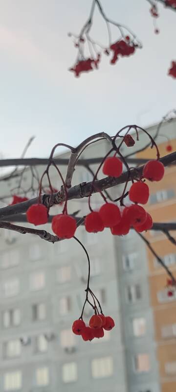 https://upforme.ru/uploads/001b/95/85/5/t397350.jpg