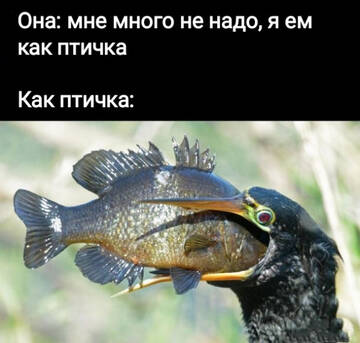 https://upforme.ru/uploads/001b/95/85/5/t632383.jpg