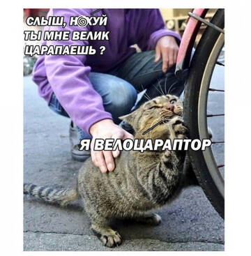 https://upforme.ru/uploads/001b/95/85/5/t845369.jpg