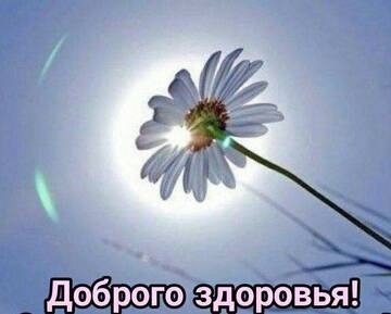 https://upforme.ru/uploads/001b/95/85/59/t142416.jpg