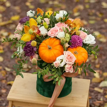 https://upforme.ru/uploads/001b/95/85/65/t766464.webp