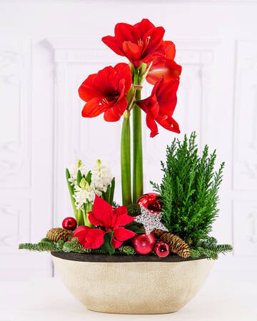 https://upforme.ru/uploads/001b/95/85/65/t845411.jpg