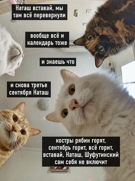 https://upforme.ru/uploads/001b/97/ef/11/305137.png