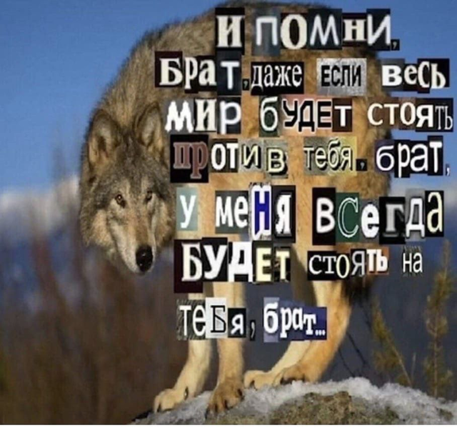 https://upforme.ru/uploads/001b/97/ef/11/668343.png