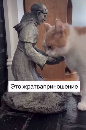 https://upforme.ru/uploads/001b/97/ef/110/t486980.jpg
